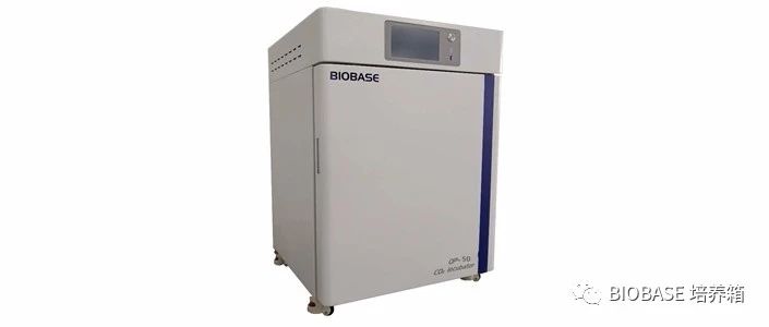 二氧化碳培养箱QP-80