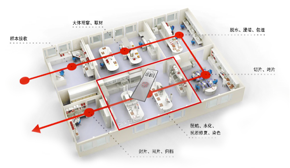 病理科解决方案效果图