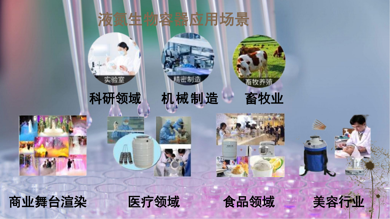 第二张