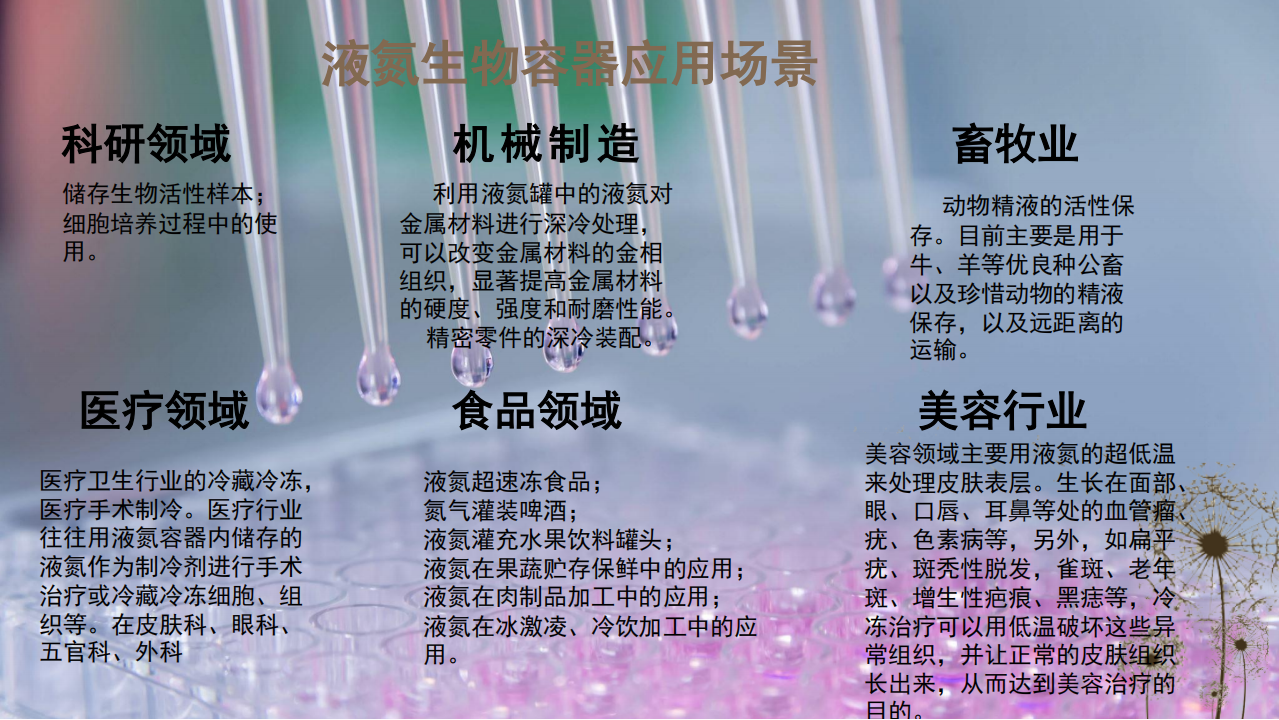 第三张